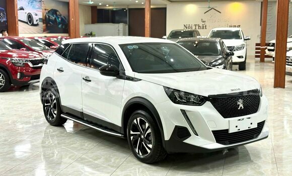 Mua Đã sử dụng Peugeot 2008 Xe ô tô