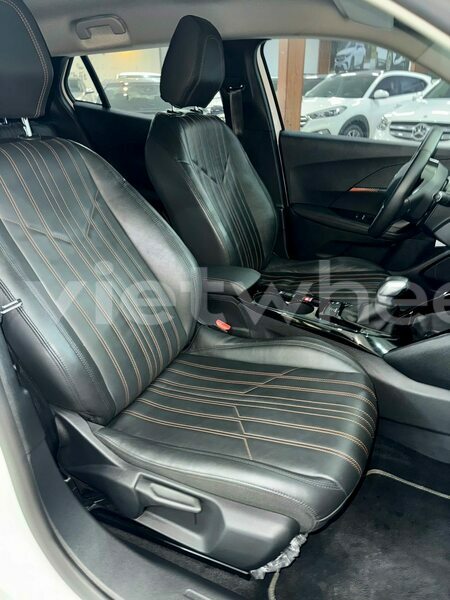 Big with watermark peugeot 2008 ho chi minh 8 46273