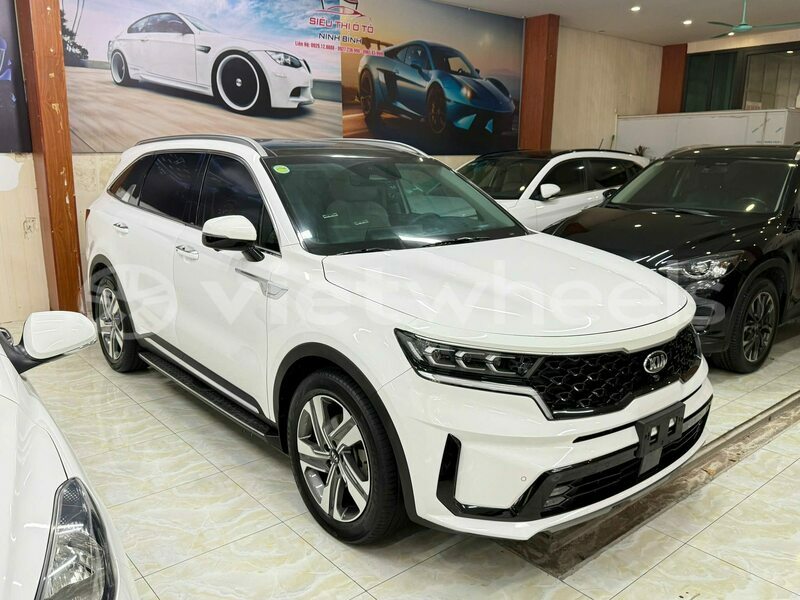 Big with watermark kia sorento an giang an chau 46277