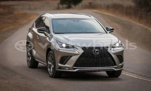 Buy Import Lexus Nx Car