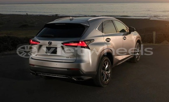 Mua Nhập khẩu Lexus Nx Xe ô tô Mua Nhập khẩu Lexus Nx Xe ô tô