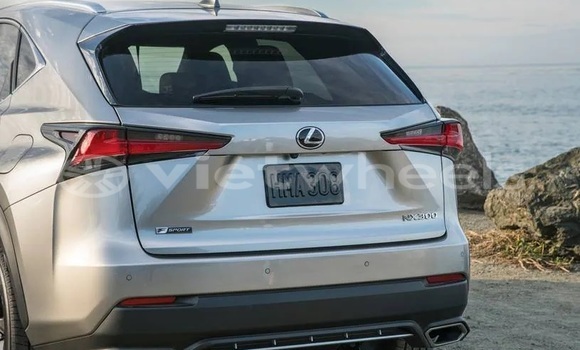 Mua Nhập khẩu Lexus Nx Xe ô tô Mua Nhập khẩu Lexus Nx Xe ô tô