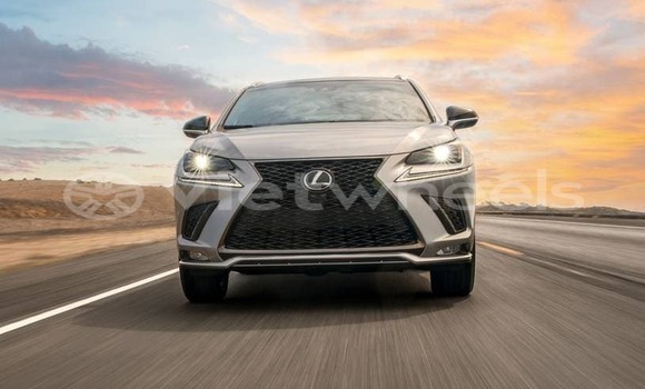 Mua Nhập khẩu Lexus Nx Xe ô tô Mua Nhập khẩu Lexus Nx Xe ô tô
