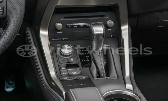 Mua Nhập khẩu Lexus Nx Xe ô tô Mua Nhập khẩu Lexus Nx Xe ô tô