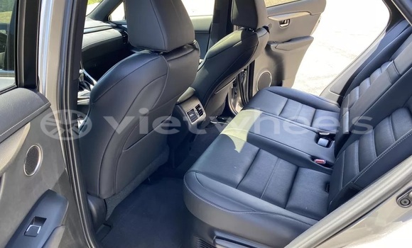 Mua Nhập khẩu Lexus Nx Xe ô tô Mua Nhập khẩu Lexus Nx Xe ô tô