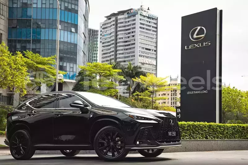 Big with watermark lexus nx ha noi ha noi 46299