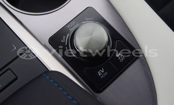 Mua Nhập khẩu Lexus RX450H Xe ô tô Mua Nhập khẩu Lexus RX450H Xe ô tô
