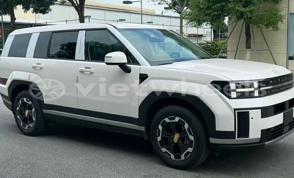 Buy Used Hyundai Santa fe Car Buy Used Hyundai Santa fe Car