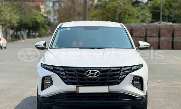 Buy Used Hyundai Tucson Car Buy Used Hyundai Tucson Car