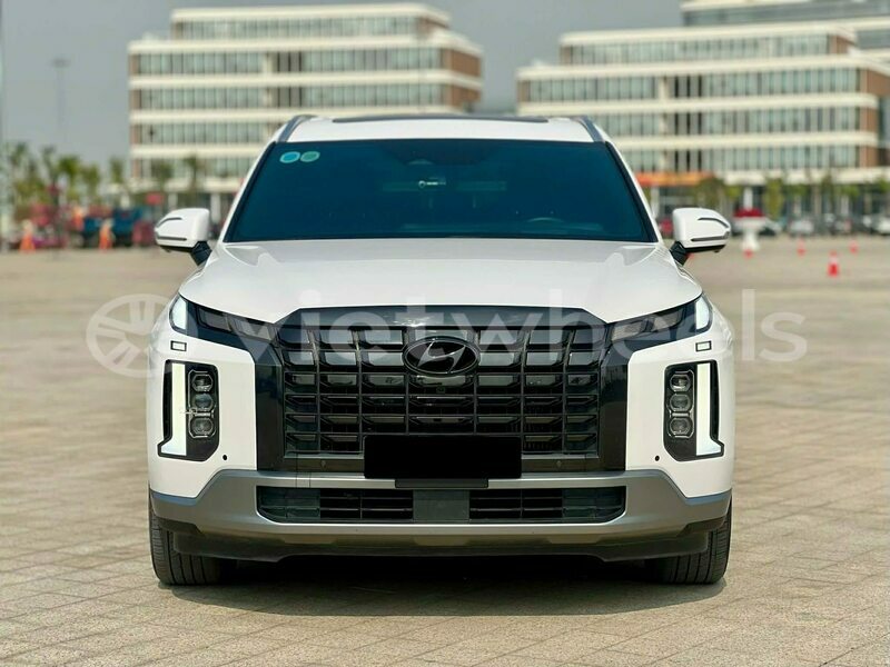 Big with watermark hyundai palisade quang tri a doi 46352