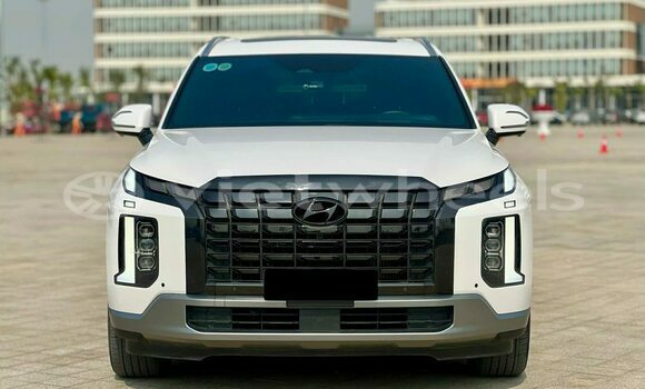 Mua Đã sử dụng Hyundai Palisade Xe ô tô Mua Đã sử dụng Hyundai Palisade Xe ô tô