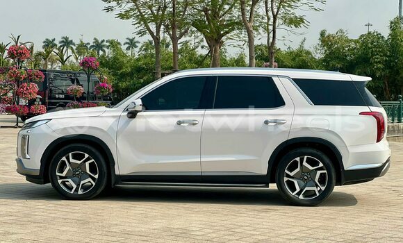 Mua Đã sử dụng Hyundai Palisade Xe ô tô Mua Đã sử dụng Hyundai Palisade Xe ô tô