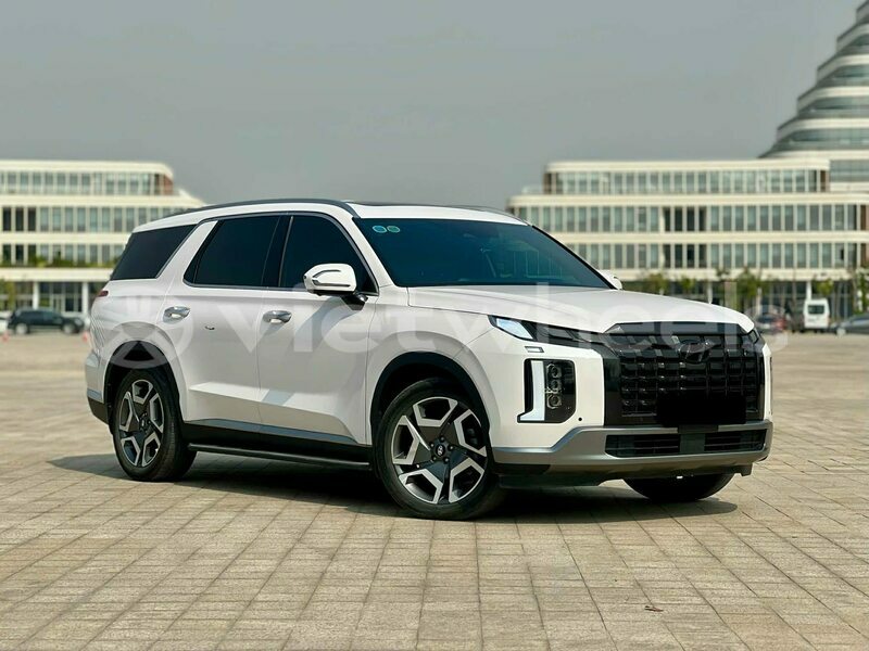 Big with watermark hyundai palisade quang tri a doi 46352