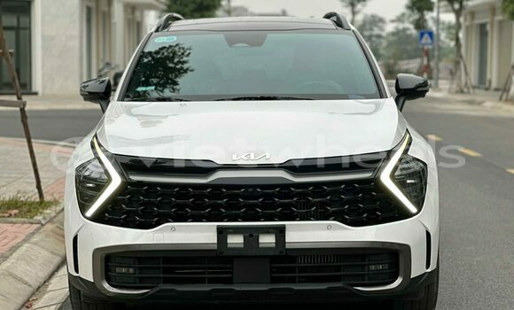 Buy Used Kia Sportage Car