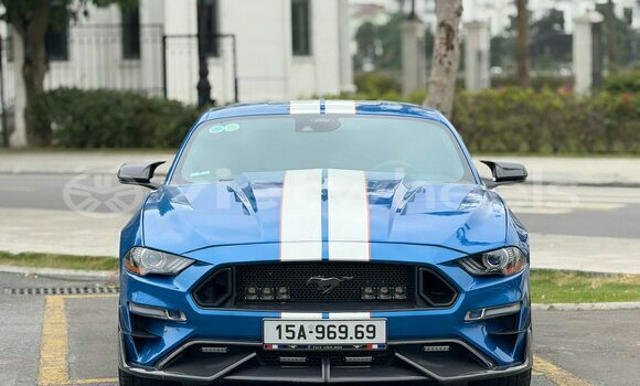 Buy Used Ford Ford MUSTANG Car Buy Used Ford Ford MUSTANG Car