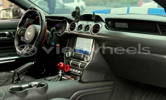 Buy Used Ford Ford MUSTANG Car Buy Used Ford Ford MUSTANG Car