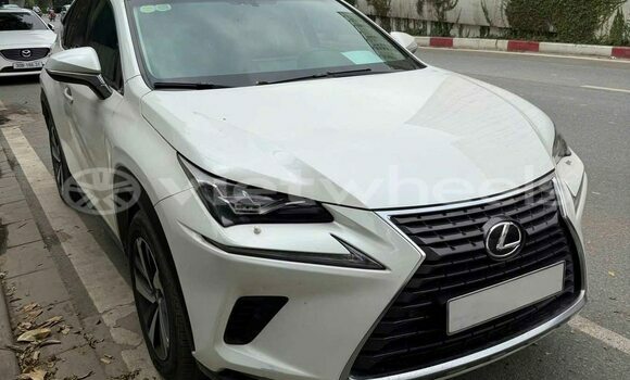 Mua Đã sử dụng Lexus NX 200T Xe ô tô