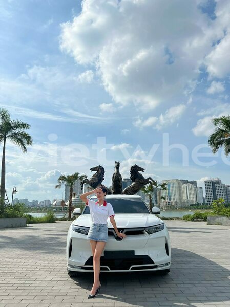 Big with watermark vinfast vf9 gia lai alba 46431