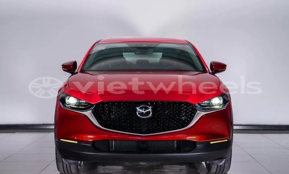 Mua Nhập khẩu Mazda Cx-30 Xe ô tô