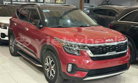 Buy Used Kia Seltos Car