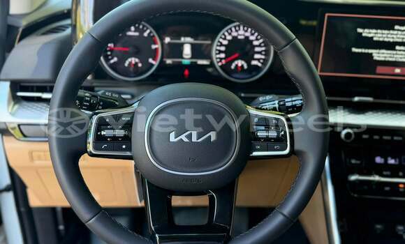 Mua Đã sử dụng Kia Carnival Xe ô tô Mua Đã sử dụng Kia Carnival Xe ô tô