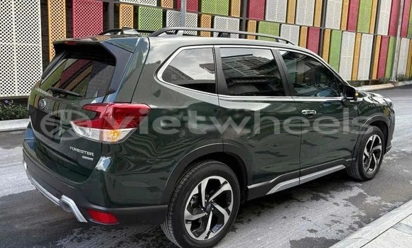 Mua Đã sử dụng Subaru Forester Xe ô tô Mua Đã sử dụng Subaru Forester Xe ô tô