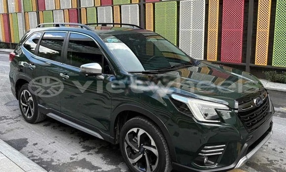 Mua Đã sử dụng Subaru Forester Xe ô tô Mua Đã sử dụng Subaru Forester Xe ô tô