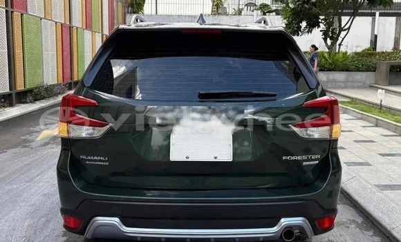 Mua Đã sử dụng Subaru Forester Xe ô tô Mua Đã sử dụng Subaru Forester Xe ô tô