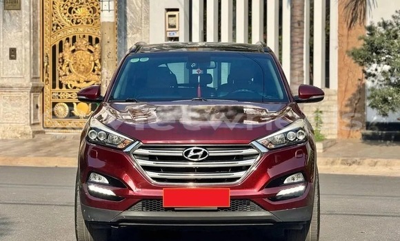 Mua Đã sử dụng Hyundai Tucson Xe ô tô Mua Đã sử dụng Hyundai Tucson Xe ô tô