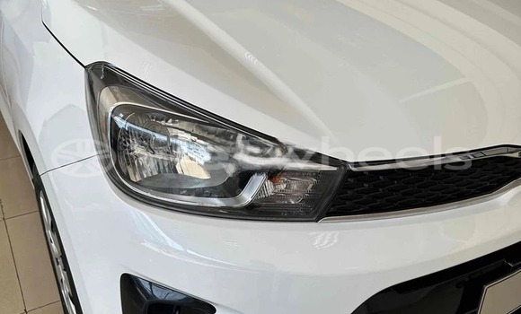 Buy New KIA Soluto Car Buy New KIA Soluto Car