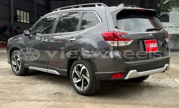 Mua Đã sử dụng Subaru Forester Xe ô tô Mua Đã sử dụng Subaru Forester Xe ô tô