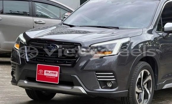 Mua Đã sử dụng Subaru Forester Xe ô tô Mua Đã sử dụng Subaru Forester Xe ô tô