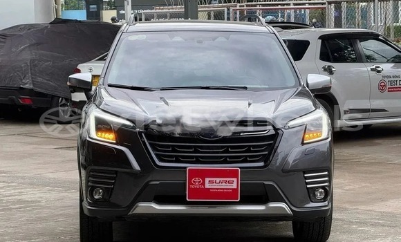 Mua Đã sử dụng Subaru Forester Xe ô tô Mua Đã sử dụng Subaru Forester Xe ô tô