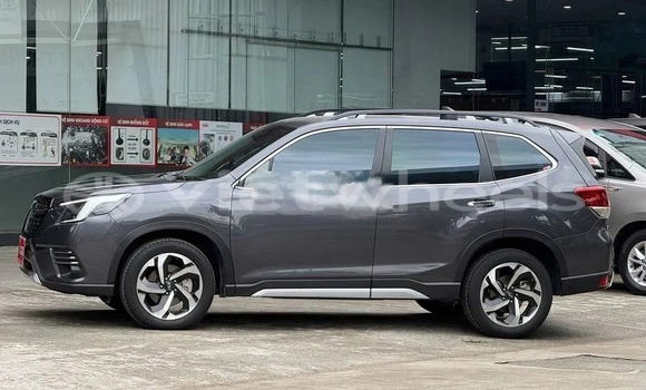 Mua Đã sử dụng Subaru Forester Xe ô tô Mua Đã sử dụng Subaru Forester Xe ô tô