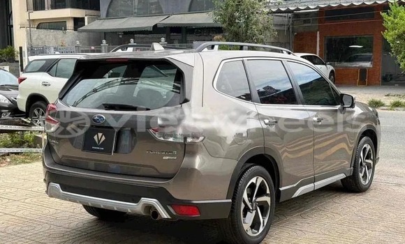Mua Đã sử dụng Subaru Forester Xe ô tô Mua Đã sử dụng Subaru Forester Xe ô tô