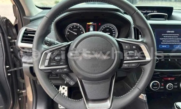 Mua Đã sử dụng Subaru Forester Xe ô tô Mua Đã sử dụng Subaru Forester Xe ô tô
