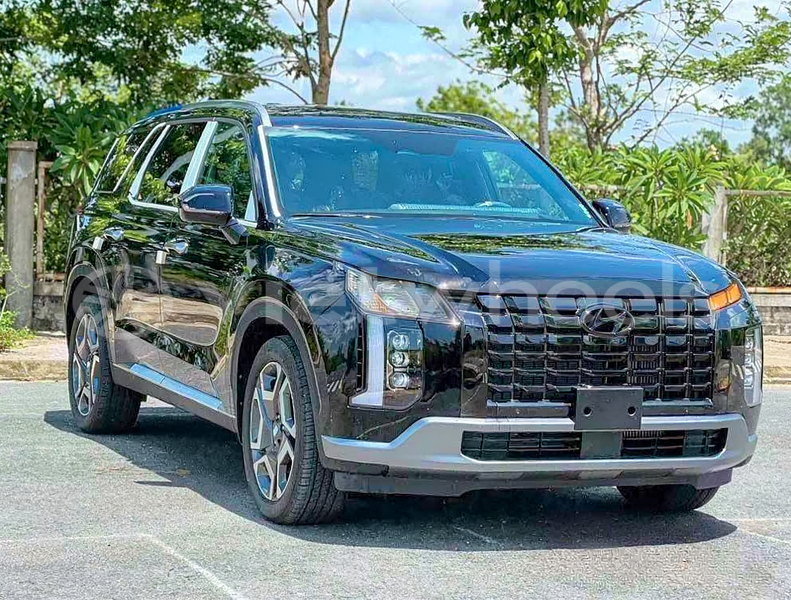 Big with watermark hyundai palisade thanh pho ho chi minh tp ho chi minh 47077