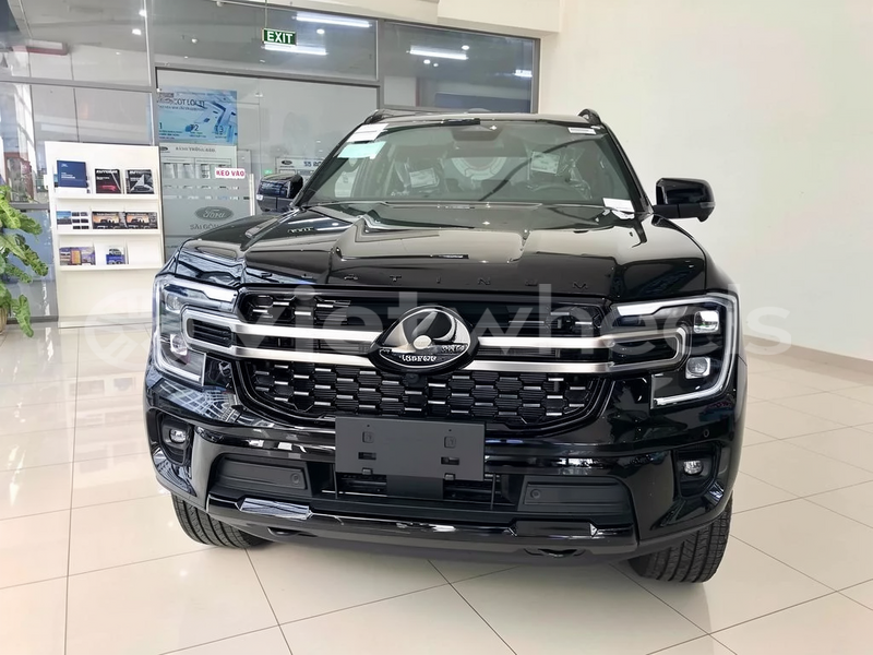 Big with watermark ford everest thanh pho ho chi minh tp ho chi minh 47090