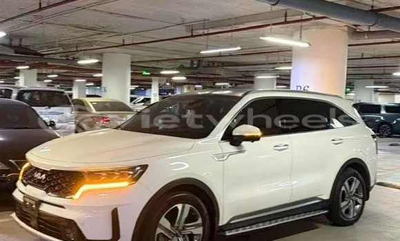 Mua Đã sử dụng Kia Sorento hybrid Xe ô tô