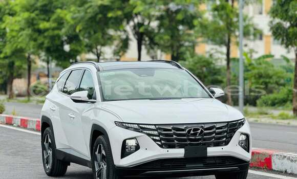 Mua Đã sử dụng Hyundai Tucson Xe ô tô Mua Đã sử dụng Hyundai Tucson Xe ô tô