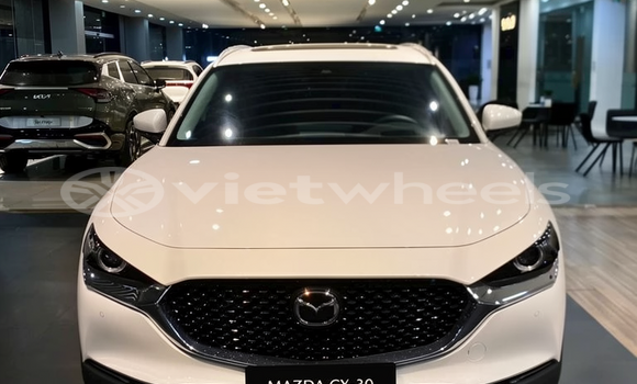 Mua Nhập khẩu Mazda Cx-30 Xe ô tô Mua Nhập khẩu Mazda Cx-30 Xe ô tô