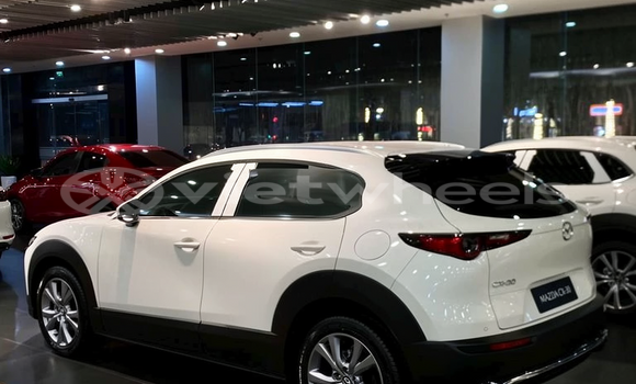 Mua Nhập khẩu Mazda Cx-30 Xe ô tô Mua Nhập khẩu Mazda Cx-30 Xe ô tô