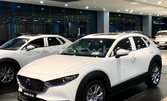 Mua Nhập khẩu Mazda Cx-30 Xe ô tô Mua Nhập khẩu Mazda Cx-30 Xe ô tô