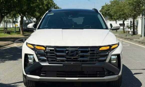 Mua Đã sử dụng Hyundai Tucson Xe ô tô Mua Đã sử dụng Hyundai Tucson Xe ô tô