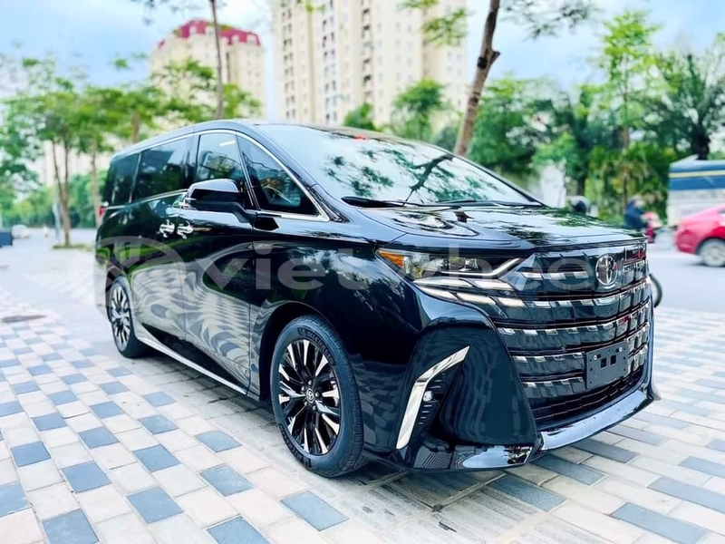 Big with watermark toyota alphard hanoi tp ho chi minh 47428