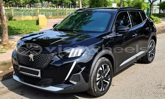 Mua Đã sử dụng Peugeot 2008 Xe ô tô Mua Đã sử dụng Peugeot 2008 Xe ô tô