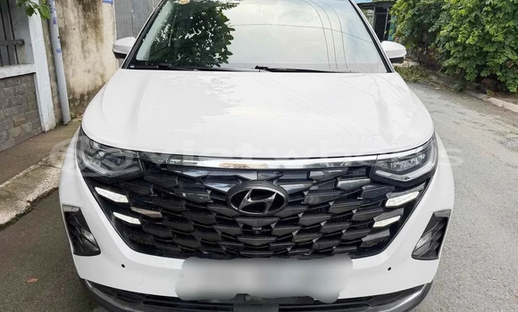 Mua Đã sử dụng Hyundai Custin Xe ô tô