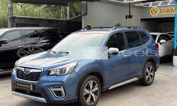 Mua Đã sử dụng Subaru Forester Xe ô tô Mua Đã sử dụng Subaru Forester Xe ô tô