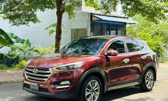Buy Used Hyundai Tucson Car Buy Used Hyundai Tucson Car