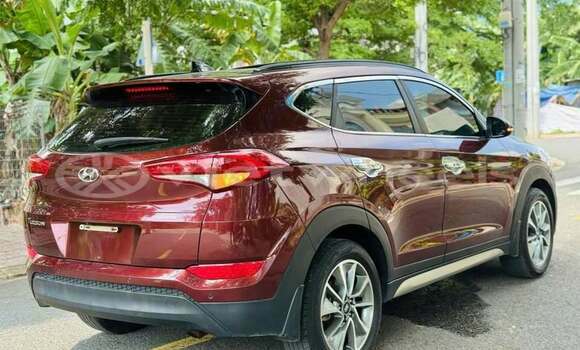 Buy Used Hyundai Tucson Car Buy Used Hyundai Tucson Car